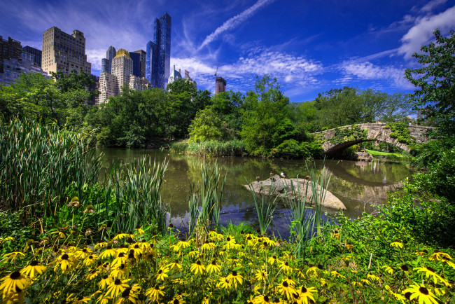 Обои картинки фото gapstow bridge in central park - new york city, города, нью-йорк , сша, простор