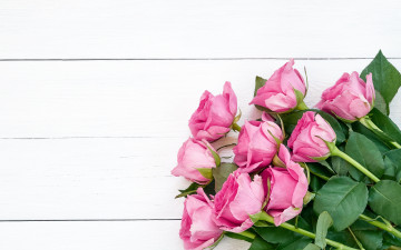 Картинка цветы розы букет розовые wood pink flowers roses