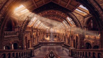 Картинка интерьер дворцы +музеи лондонский музей