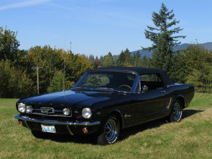 Картинка 1965 mustang convertible автомобили ford