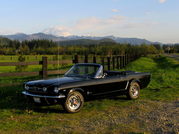 Обои картинки фото 1965, mustang, convertible, автомобили, ford