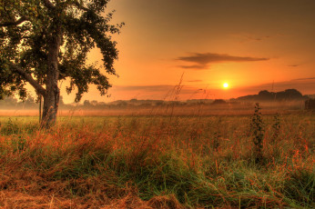 Картинка германия хунген природа восходы закаты закат поля