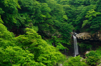 обоя природа, водопады, лес