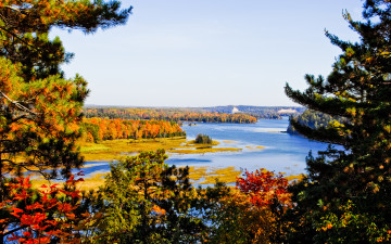 Картинка природа реки озера листва