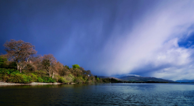 Обои картинки фото inchconnachan, island, loch, lomond, scotland, природа, реки, озера, остров, озеро, лох-ломонд, шотландия, деревья, горы