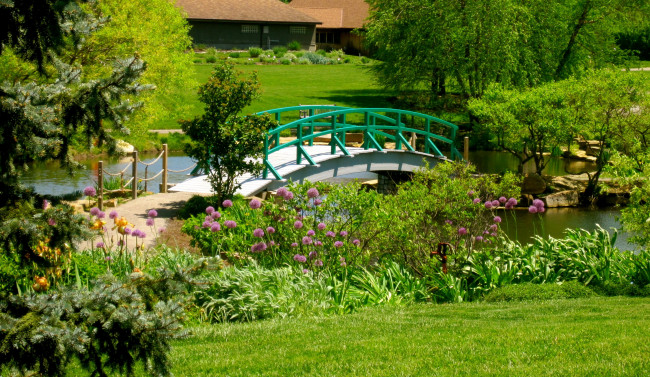 Обои картинки фото cox, arboretum, dayton, сша, природа, парк, цветы, растения, мостик, пруд, сад