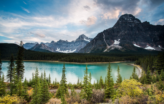 Обои картинки фото alberta, canada, природа, реки, озера, альберта, канада, озеро, горы, лес, деревья, пейзаж