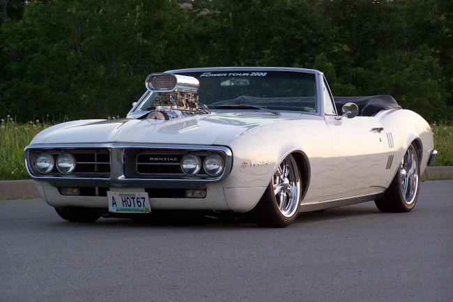 Обои картинки фото автомобили, pontiac, firebird