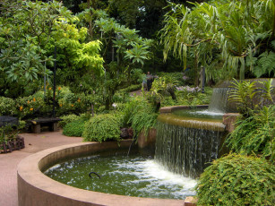Картинка парк+орхидей+в+сингапуре природа парк кусты деревья фонтан