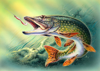 Картинка рисованное животные щука блесна рыба рыбная ловля