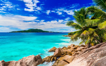 Картинка природа тропики shore sea beach пальмы песок берег пляж море palms sand tropical paradise summer