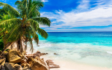 Картинка природа тропики tropical paradise shore sea beach summer пальмы песок берег пляж море palms sand