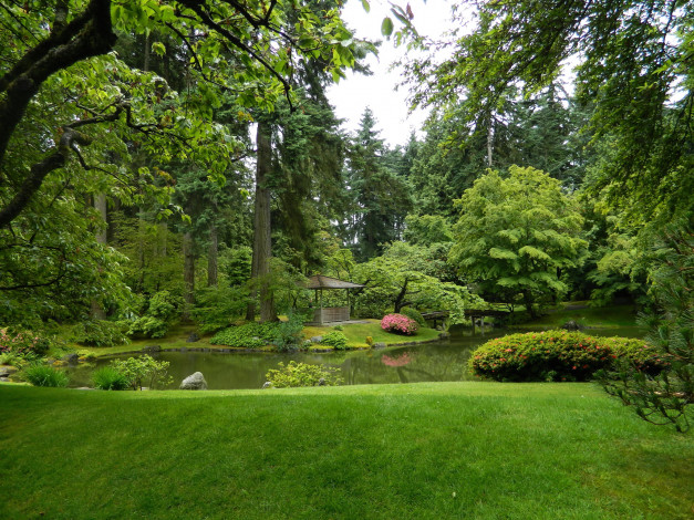 Обои картинки фото nitobe garden ванкувер канада, природа, парк, сад, канада, ванкувер, garden, nitobe, трава, кусты, деревья, пруд