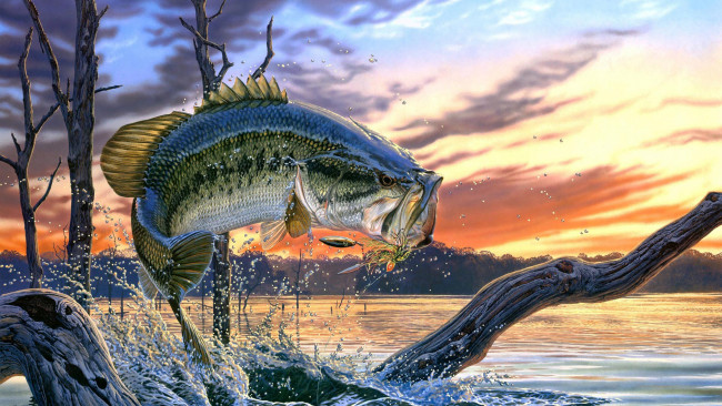 Обои картинки фото рисованное, животные, ротан, блесна, рыба, рыбная, ловля