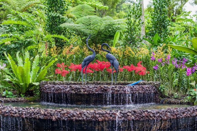 Обои картинки фото сад орхидей в сингапуре, природа, парк, кусты, скульптуры, фонтан, орхидеи, сингапур, сад
