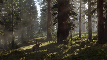 обоя видео игры, red dead redemption 2, лес, персонаж