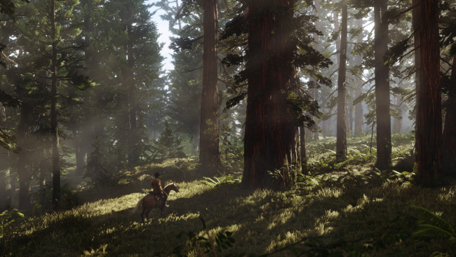 Обои картинки фото видео игры, red dead redemption 2, лес, персонаж