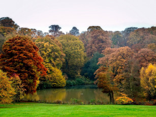Картинка природа парк пруд осень