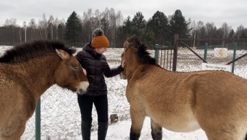 обоя bp alisa, девушки, наталья фильченкова ,  alisa, куртка, шапка, лошади, снег