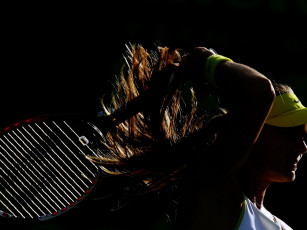 Картинка мария шарапова спорт теннис