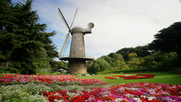 Картинка разное мельницы ветряная мельница тюльпаны