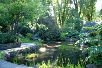 Картинка австралия fitzroy gardens природа парк кустарники деревья водоем