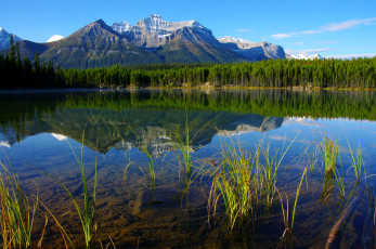 обоя banff, national, park, природа, реки, озера, лес, горы, озеро