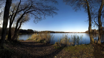 Картинка природа реки озера озеро деревья осока