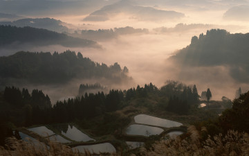Картинка природа поля Япония горы леса озера дымка