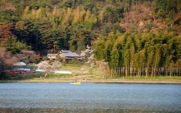 Картинка природа реки озера поселок Япония лес река