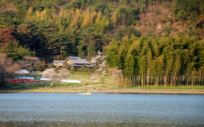 Обои картинки фото природа, реки, озера, поселок, Япония, лес, река