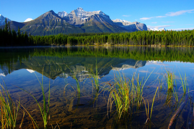 Обои картинки фото banff, national, park, природа, реки, озера, лес, горы, озеро