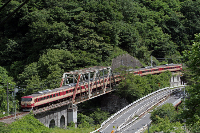 Обои картинки фото техника, поезда, мост, лес, дорога, поезд