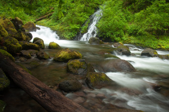 Картинка природа реки озера мох бревно поток вода triple falls columbia river gorge oregon