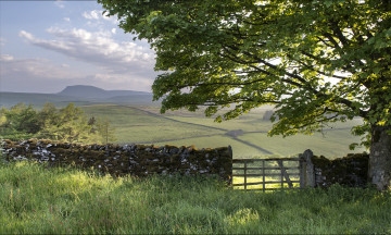 Картинка yorkshire dales england природа поля англия дерево забор ворота пейзаж
