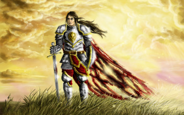 Картинка фэнтези люди рыцарь доспехи меч герб трава плащ