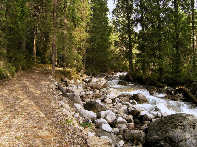 Обои картинки фото словакия, 381, diar, природа, лес, ручей