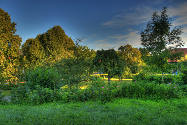 Обои картинки фото германия, гессен, природа, парк, лето, деревья, трава