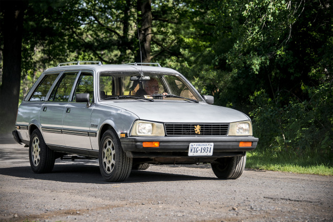 Обои картинки фото peugeot 505, автомобили, peugeot, автошоу, выставка, автопробег