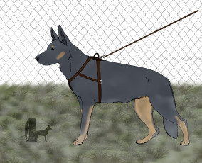 Картинка рисованное животные +собаки собака поводок