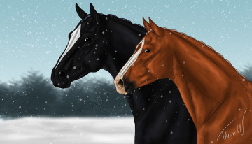 Картинка рисованное животные +лошади фон лошади