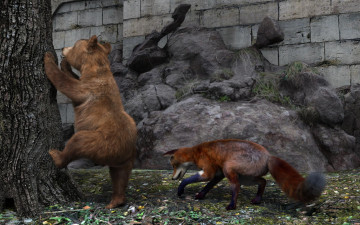 Картинка 3д+графика животные+ animals лиса медведь игра