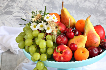 Картинка еда фрукты +ягоды виноград нектарин черешня груша абрикос