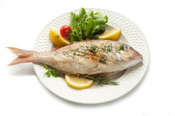 Картинка еда рыба +морепродукты +суши +роллы жареная овощи лимон розмарин помидор