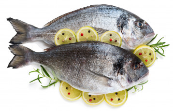 Картинка еда рыба +морепродукты +суши +роллы дорада лимон специи розмарин