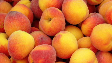 Картинка еда персики +сливы +абрикосы куча абрикосы