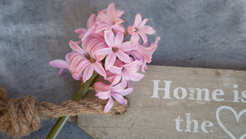 Картинка цветы гиацинты доска фон композиция табличка веревочка надпись