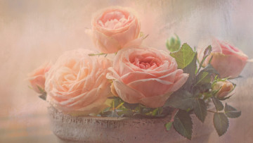 Картинка цветы розы растворение арт пастельные тона художественная обработка композиция листья дымка бутоны горшок нежно фон букет розовые светлый лепестки