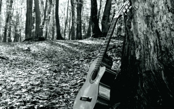 Картинка музыка -музыкальные+инструменты деревья гитара природа