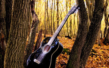 обоя музыка, -музыкальные инструменты, природа, деревья, гитара